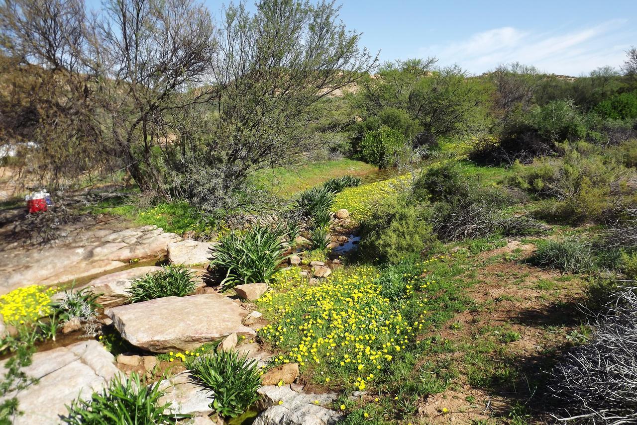 Verbe Farm Accommodation Kamieskroon المظهر الخارجي الصورة